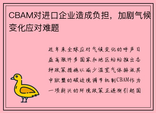 CBAM对进口企业造成负担，加剧气候变化应对难题